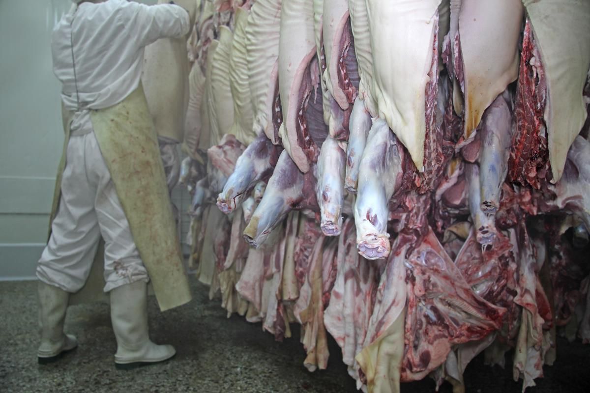 'Major hygiene failings' at 25% of abattoirs in the UK
