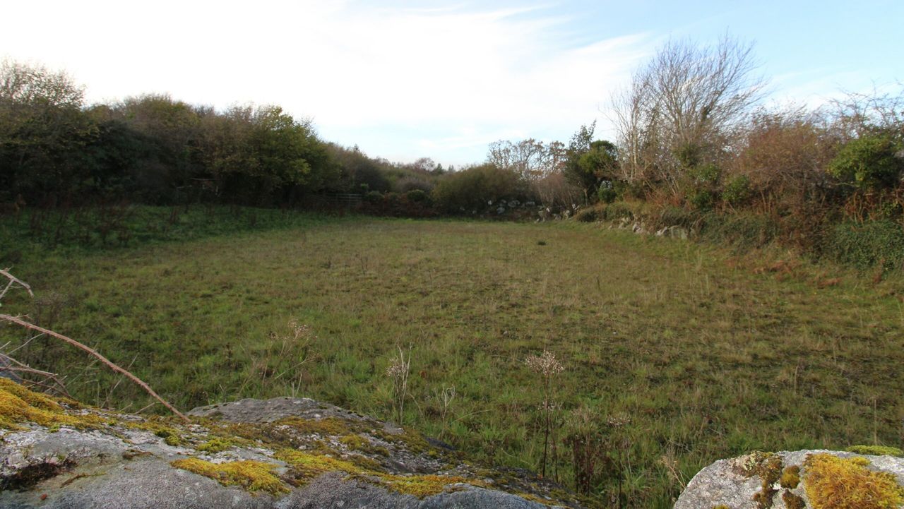 14ac in Co. Galway suits grazing or equestrian pursuits