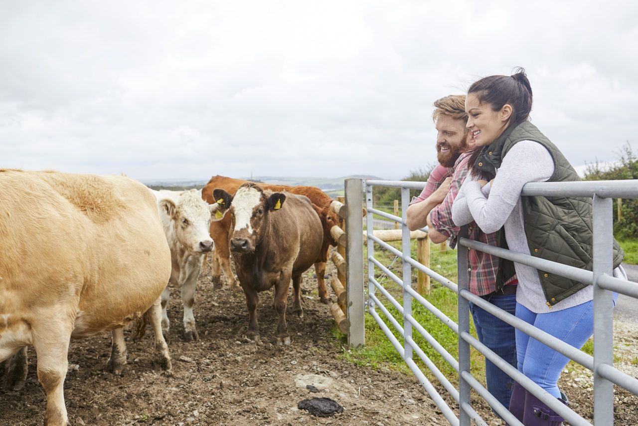 O'Brien: 'We need to make farming more enticing for young people'