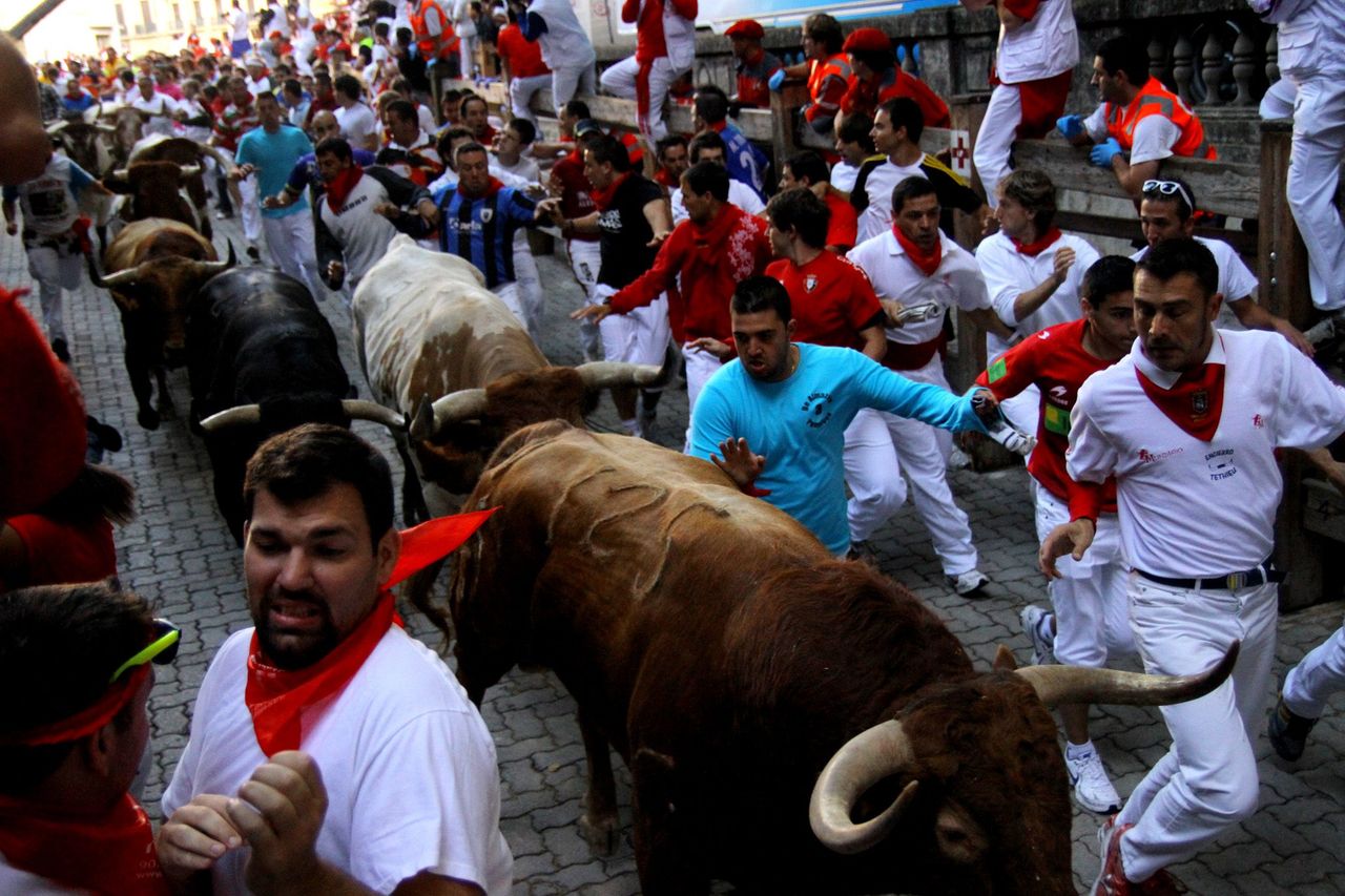 Irish man reportedly injured in Pamplona bull run