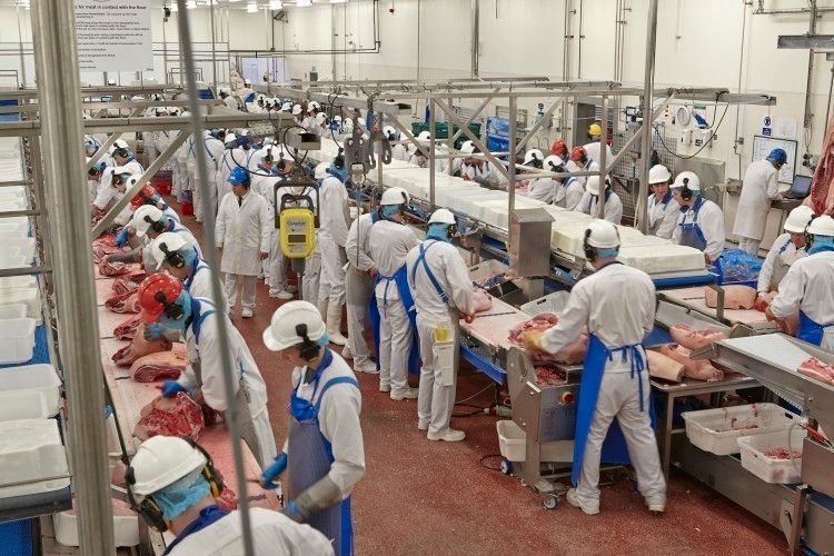 '29% of agri-food sector employees in Ireland come from outside the country'