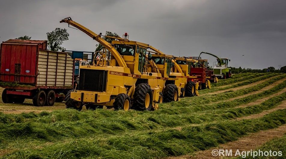 Classic silage harvesting convoy out in force...in the north-east