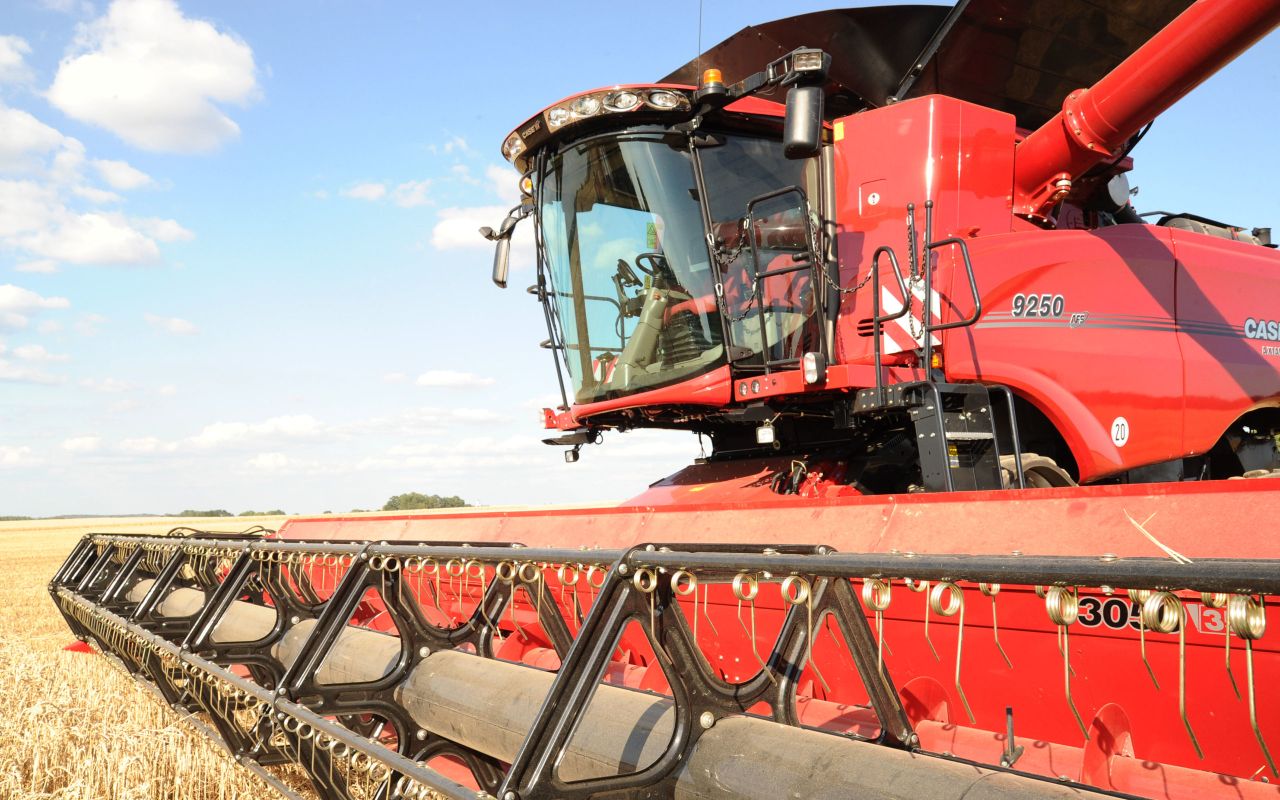 Machinery Focus: Mushrooms and fast horses - the growing technology gap
