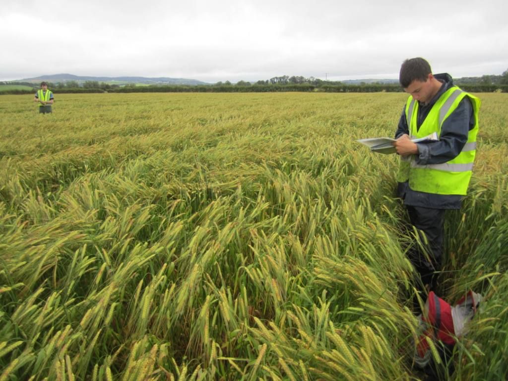 5-year soil-sampling project worth €1 million launched