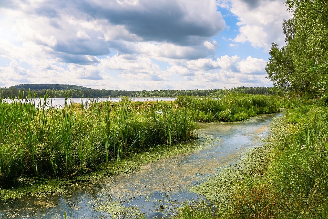 EPA: Agriculture the 'biggest driver' of algal blooms in rural areas