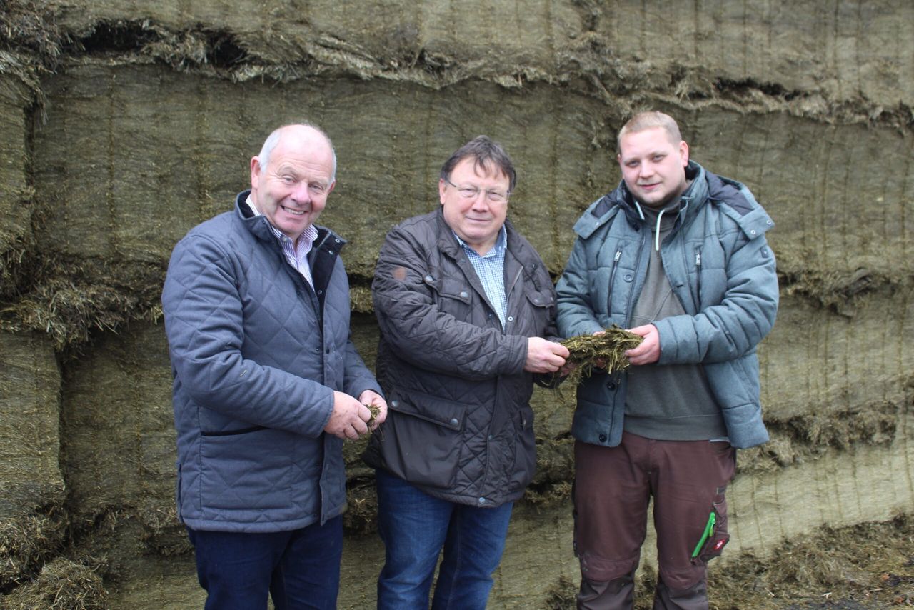 How to avoid the build-up of mycotoxin contamination in grass silage