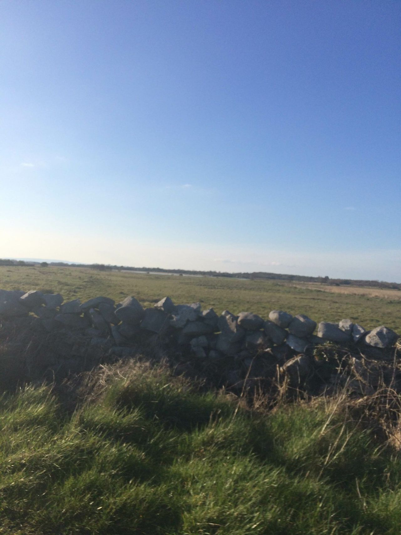 Highs of 17 degrees this week, but rain towards the weekend - Met Eireann