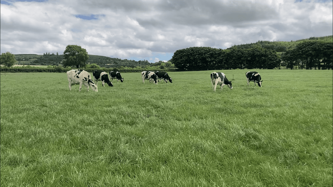 'We grew the same grass with the soiled water as if we had spread nitrogen'