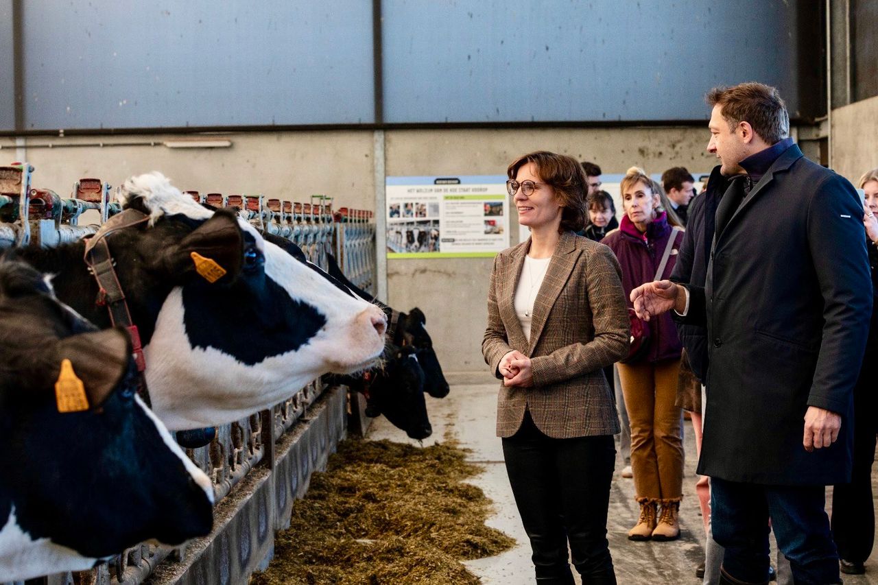 EU food sector is dependent 'on healthy soils and water' - commissioner