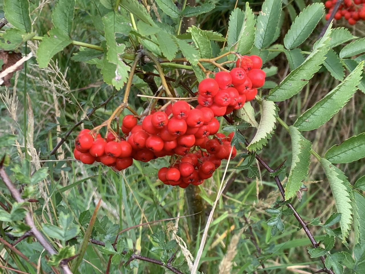 Opinion: The autumn has arrived