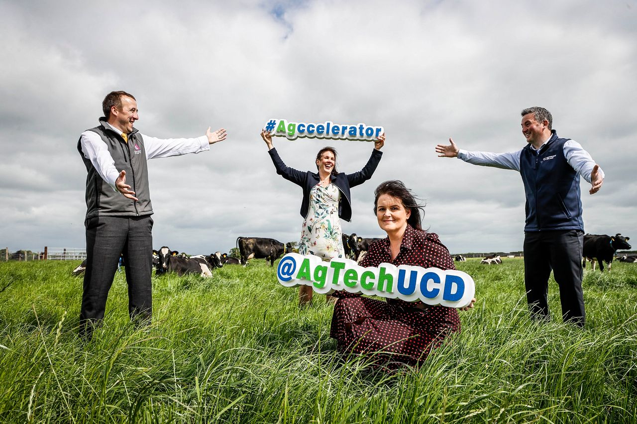 Herdwatch and UCD team up for agri-tech business training
