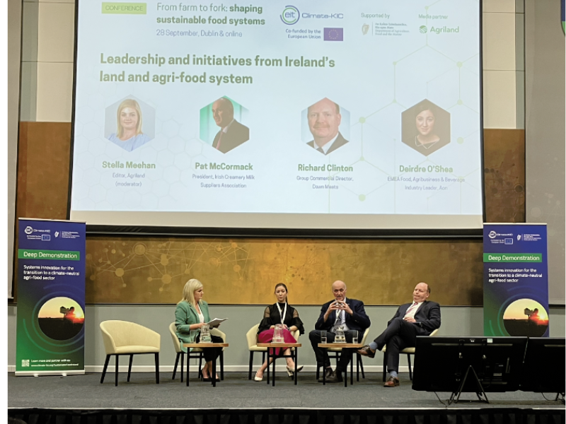 Need to 'accelerate' the rate of sustainable changes - Dawn Meats