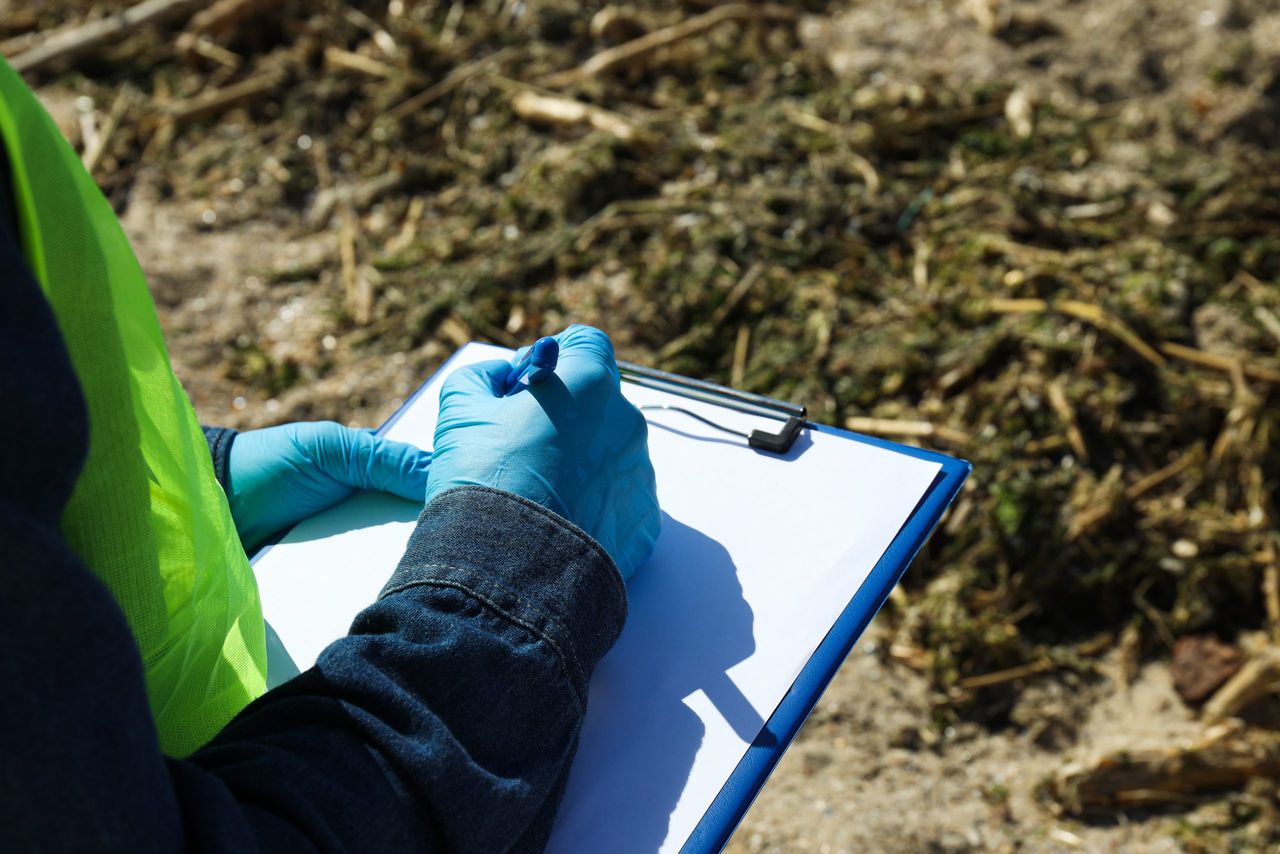 DAFM: Animal welfare enforcement incident confirmed