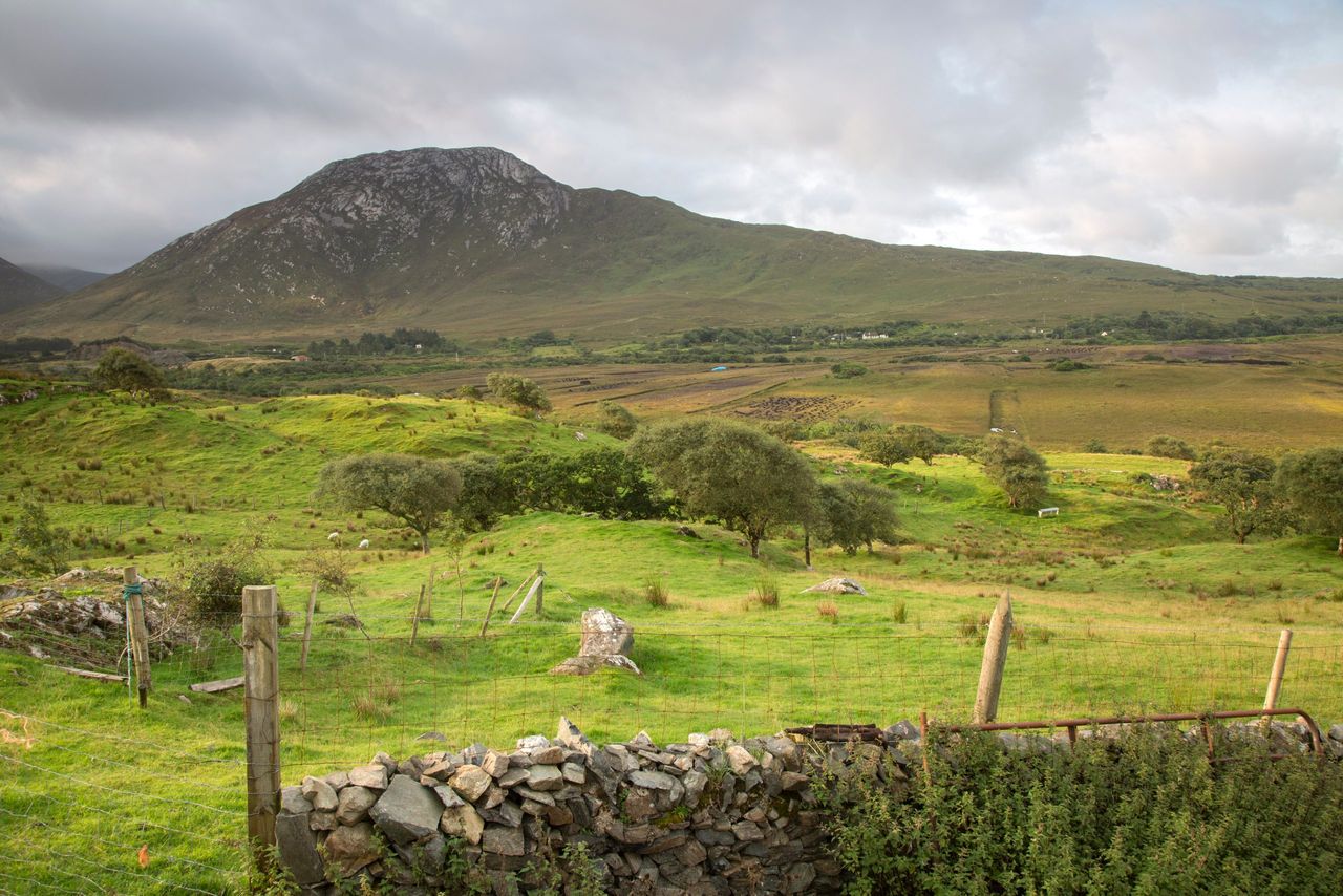 Councillor calls for simplification for 'overwhelmed' small farmers