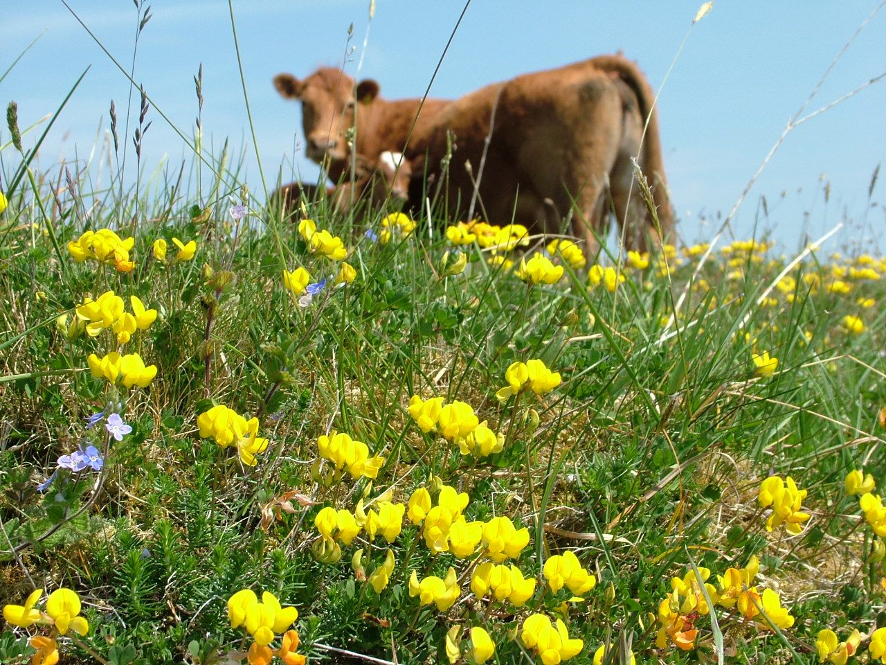 Farming for Nature 2019: 'Inspirational role models' sought for nominations
