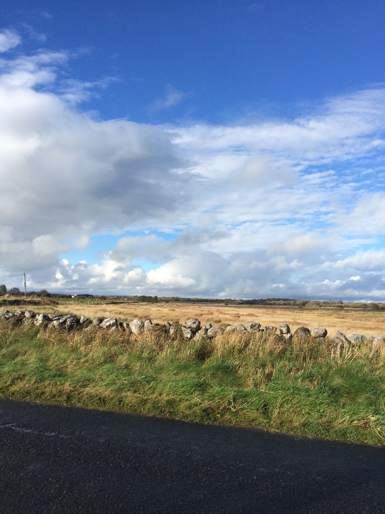 Who are the 2 candidates for IFA Connacht regional chair?