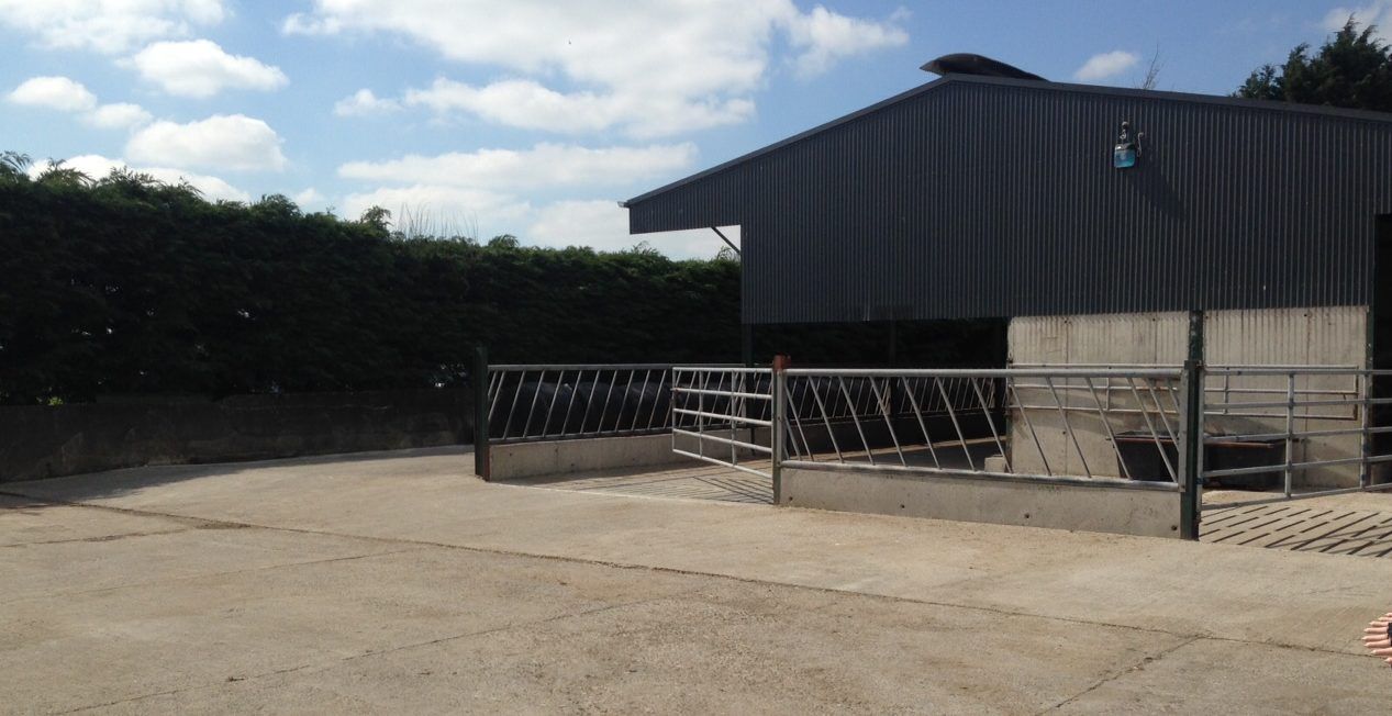 Dairy advice: Setting yourself up for the winter