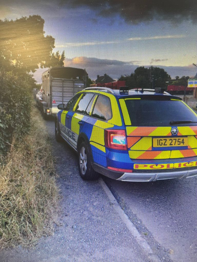 Source: PSNI
