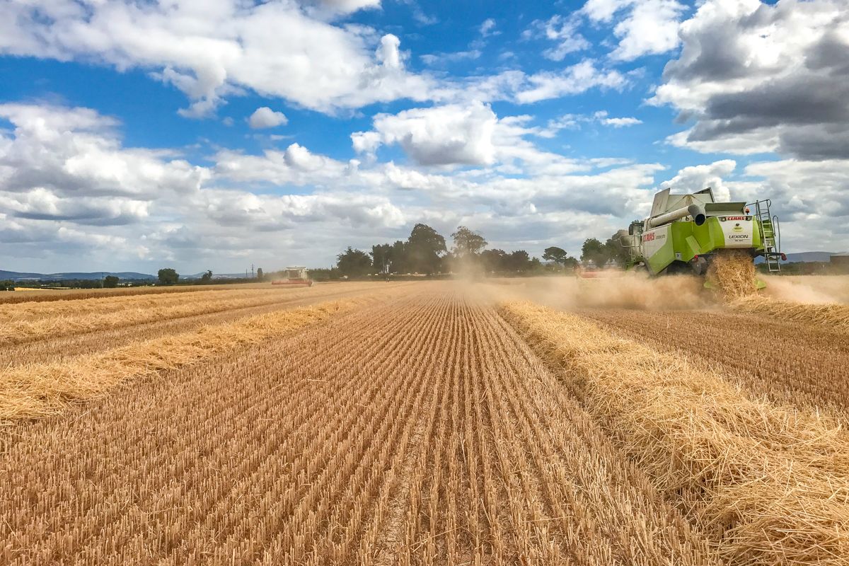 Glanbia sets out plans for grain following discussions