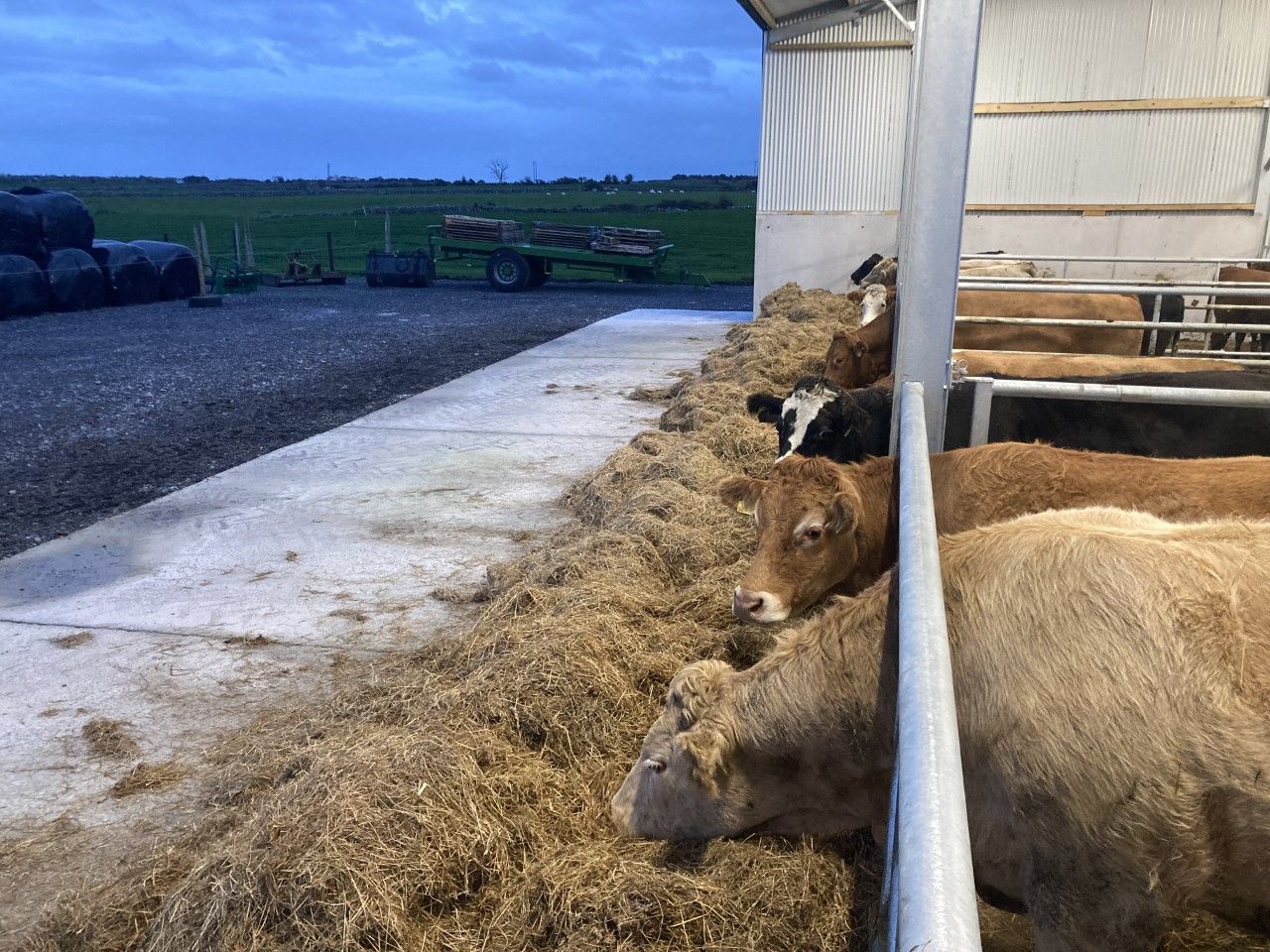 Factory quotes: Final full week sees beef price increase again