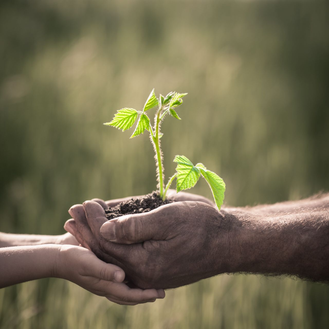 Young farmers CAP worth €24m as Jagoe lands CEJA role
