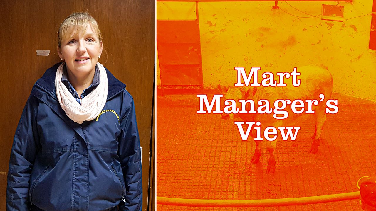 'The confidence is back amongst buyers this week' - Charlotte Kearney