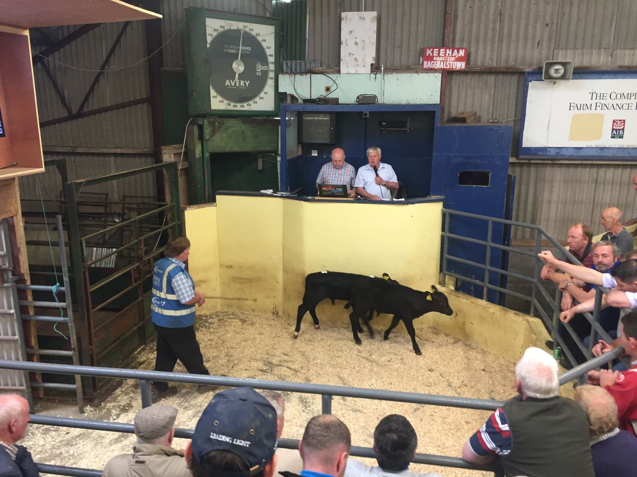 CBV only on display in marts for genotyped calves