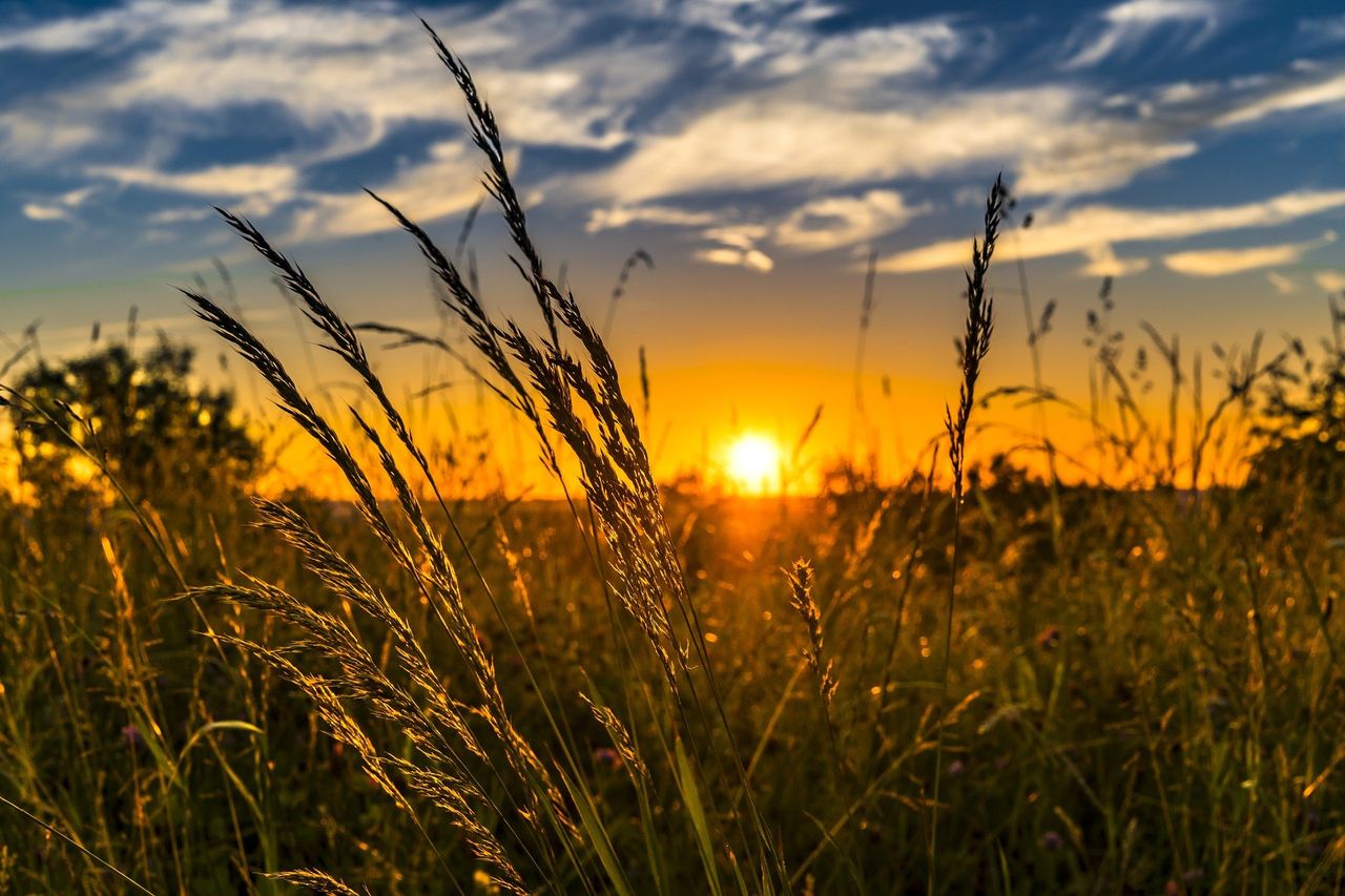 Agriculture 'most contentious area of just transition'