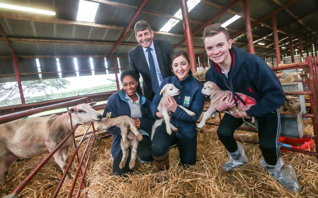3,000 students take part in Agri Aware’s Farm Walk and Talk series