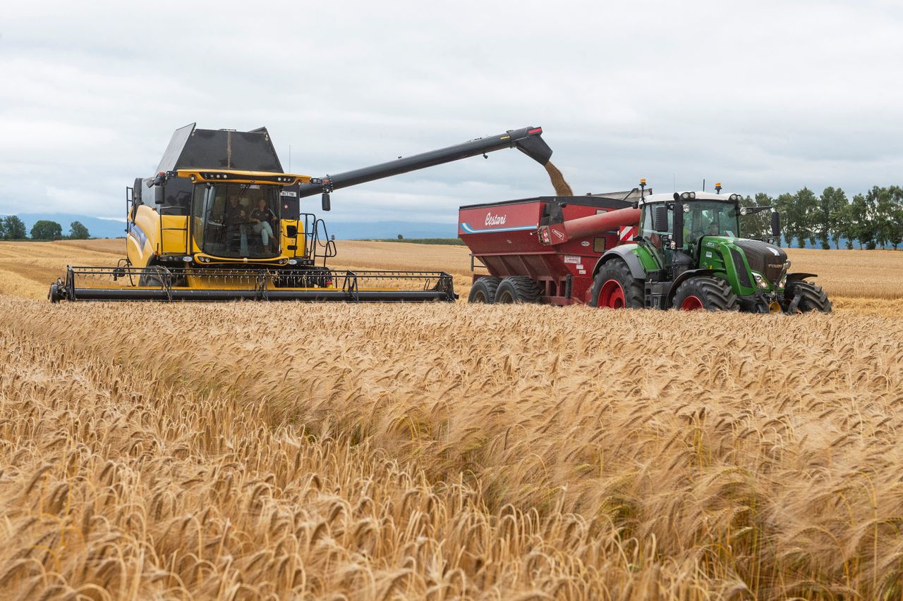 Watch: Cutting away in Tipperary as weather holds
