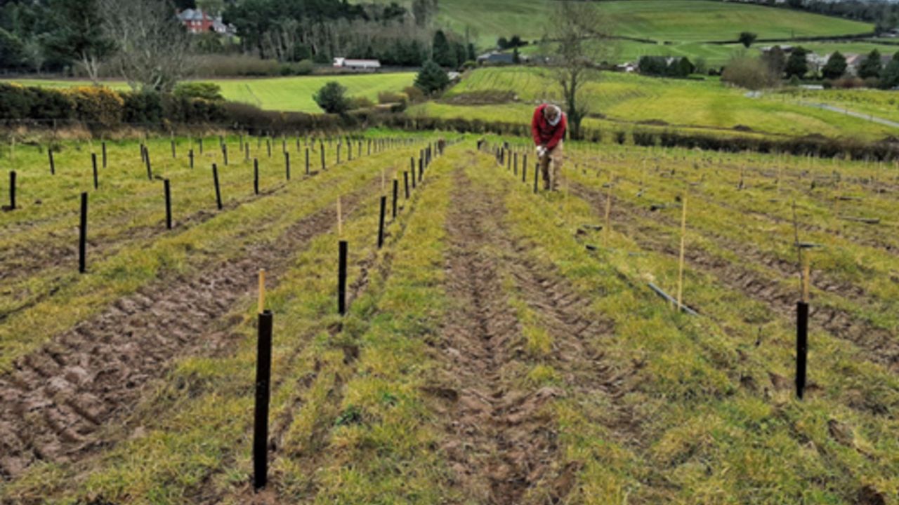 Lyons urges NI farmers to get planting before time runs out