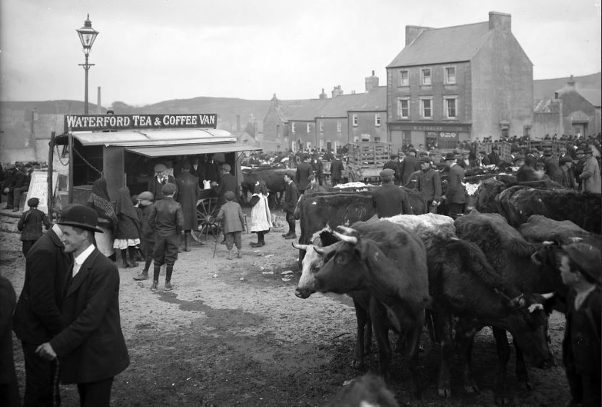 Dairy farmers urged to 'regard the cow as a machine' in 1932