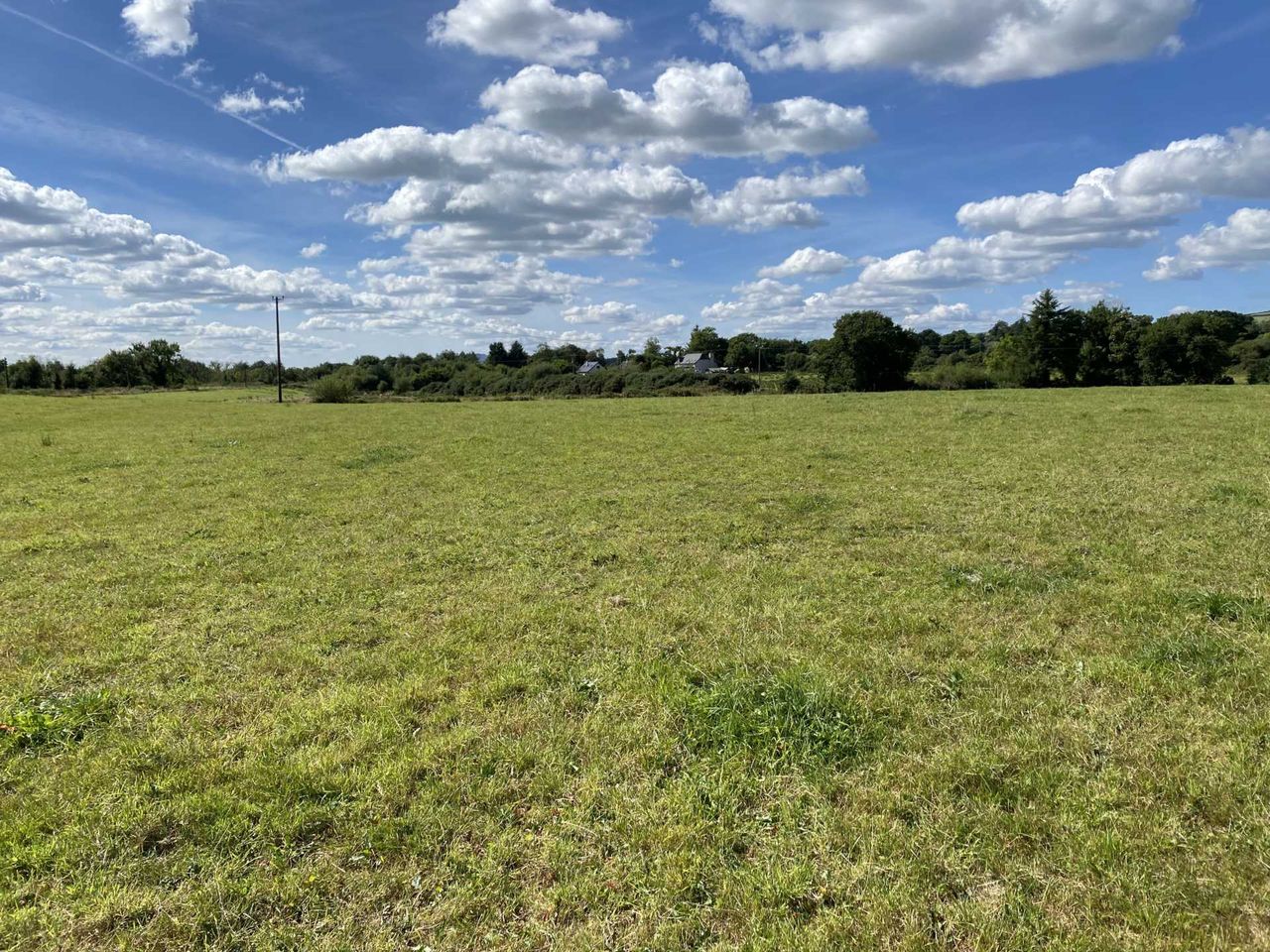Clonlara property for sale due to retiring owner