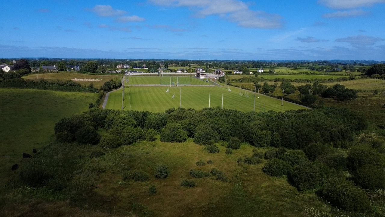 Habitat survey at Co. Louth GAA club reveals biodiversity 'treasure'
