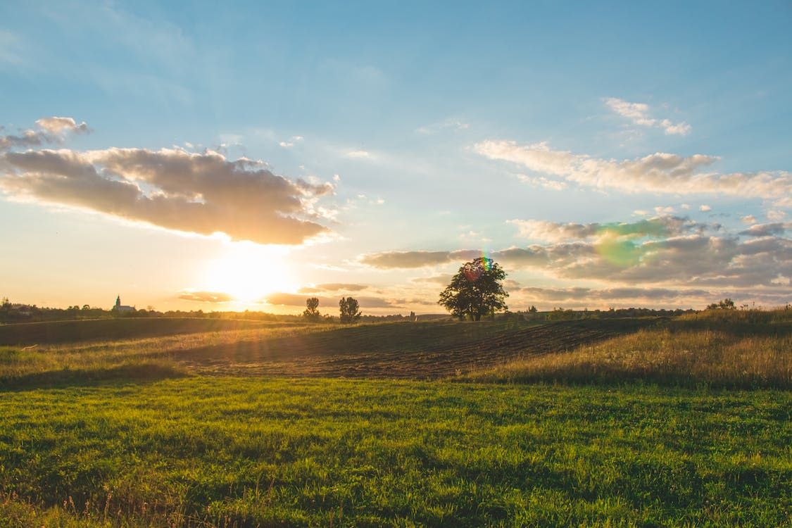 ICSA to launch initiative to help mental health of farmers
