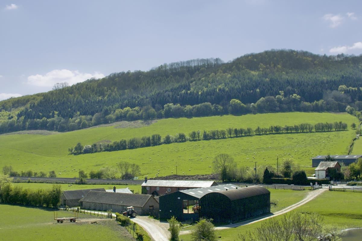 Vast majority consider farming important to economy - survey
