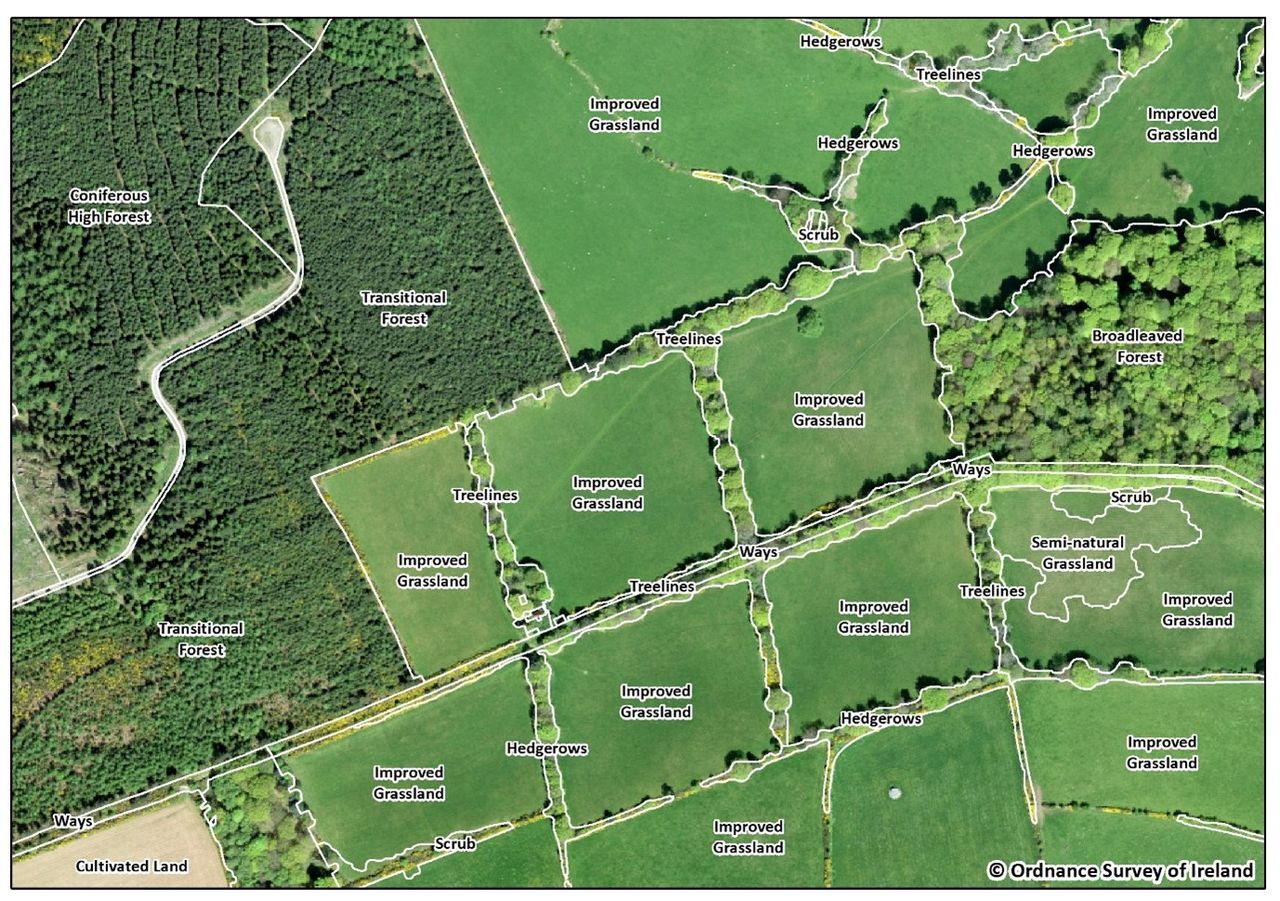 New land-cover map of habitats in development