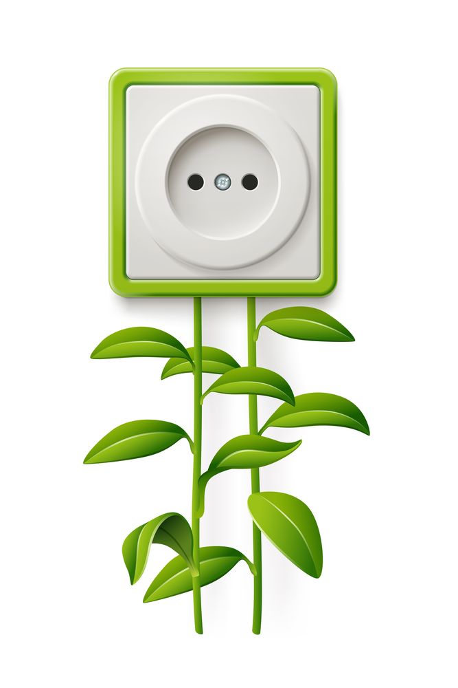 Innovations in biofuel energy solutions