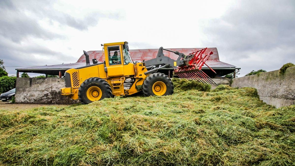 Looking to boost the yields of your silage crops?