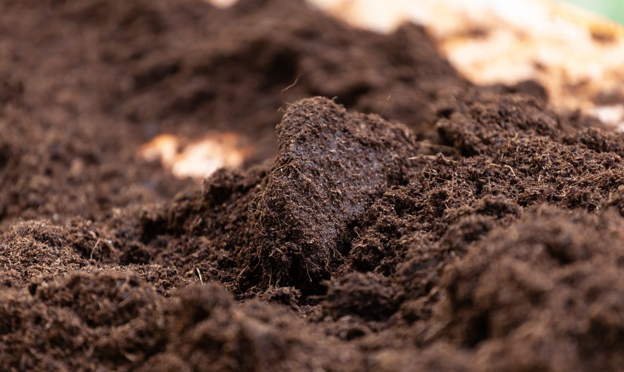 Could soil's ability to 'remember' drought ensure more resilience?