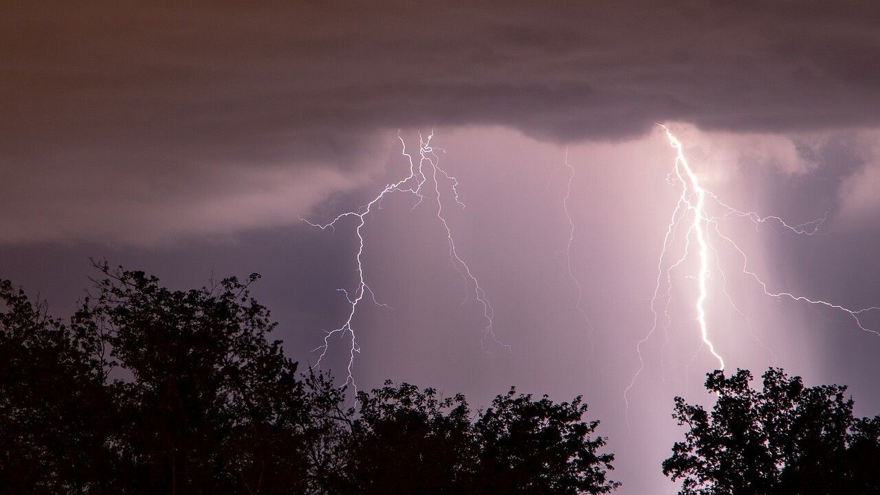 10 cattle killed following lightning strike in Cavan