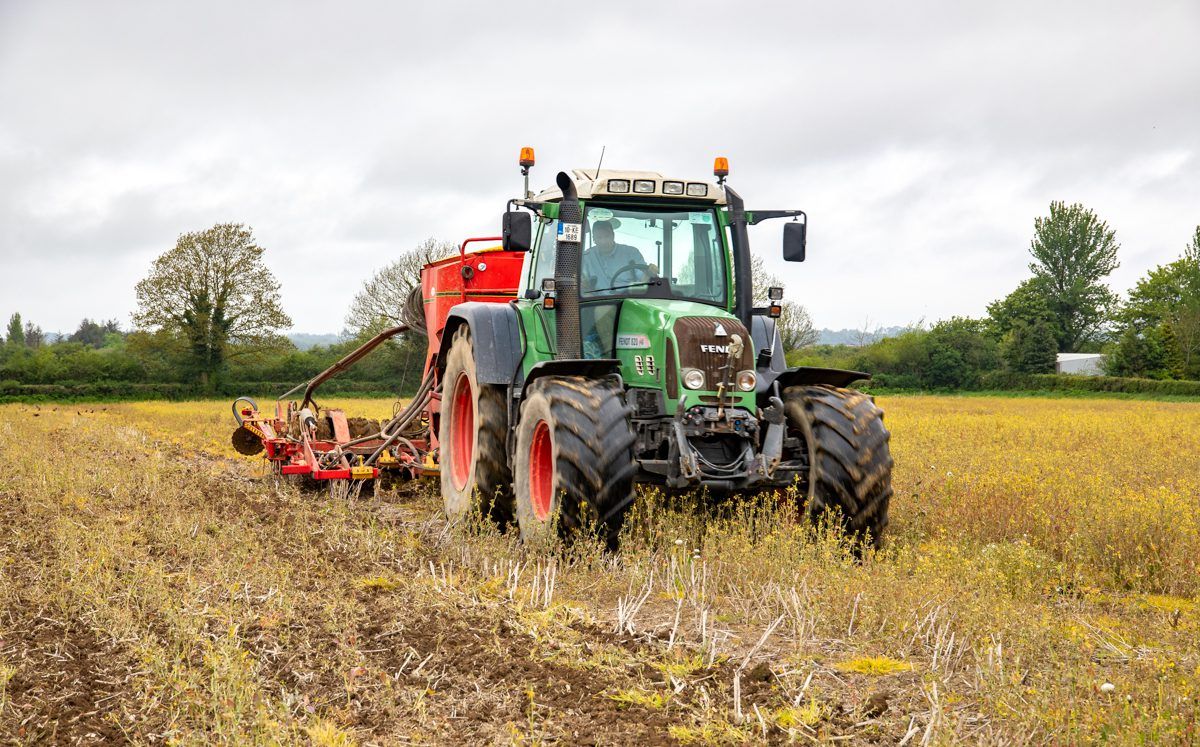CROPS WATCH: Spring barley needs help early to reach potential
