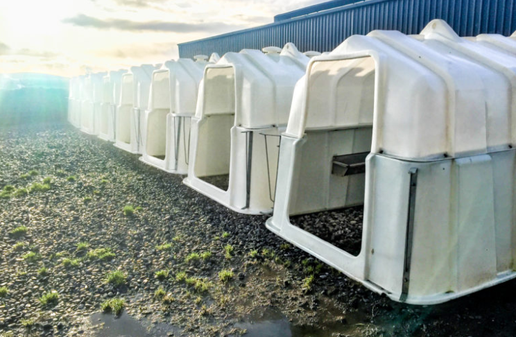 Alternative options to building a new calf shed