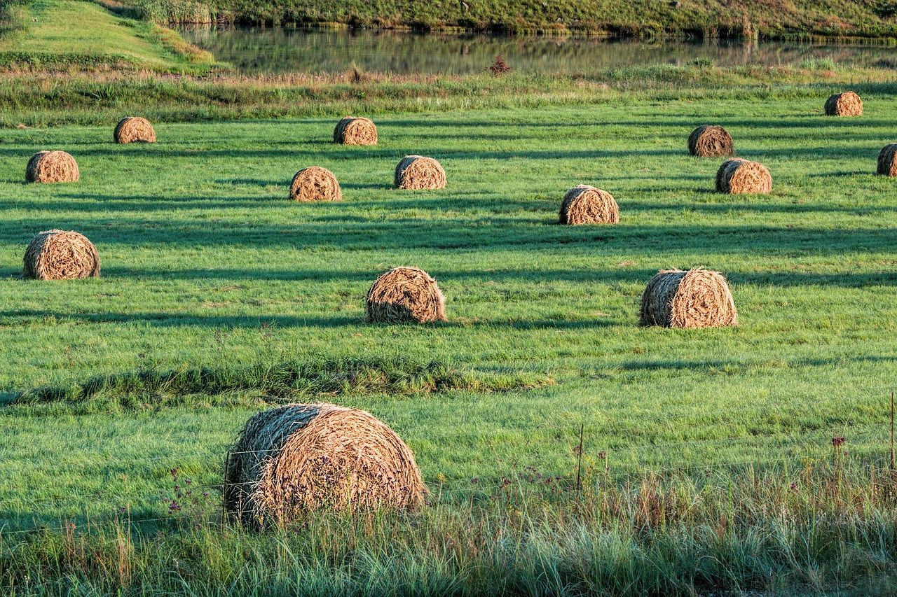 Almost 700 farmers to receive €2.1m towards fodder transport