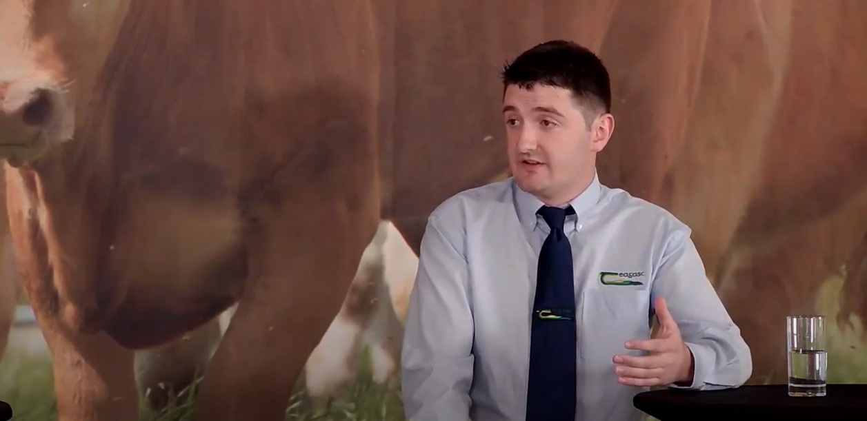 'A common factor across the most profitable systems is the use of grazed grass'