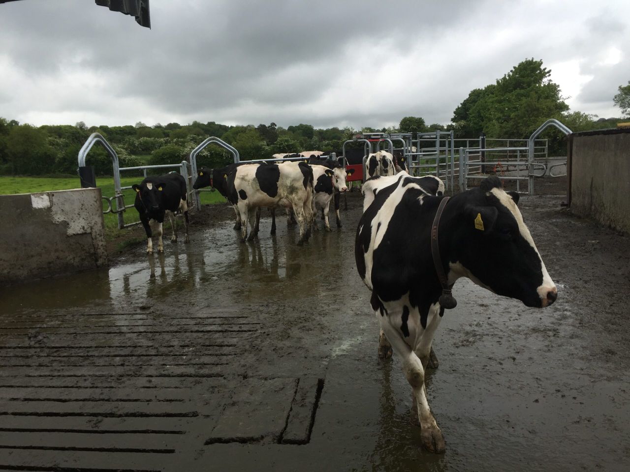First processor announces milk price for April supplies