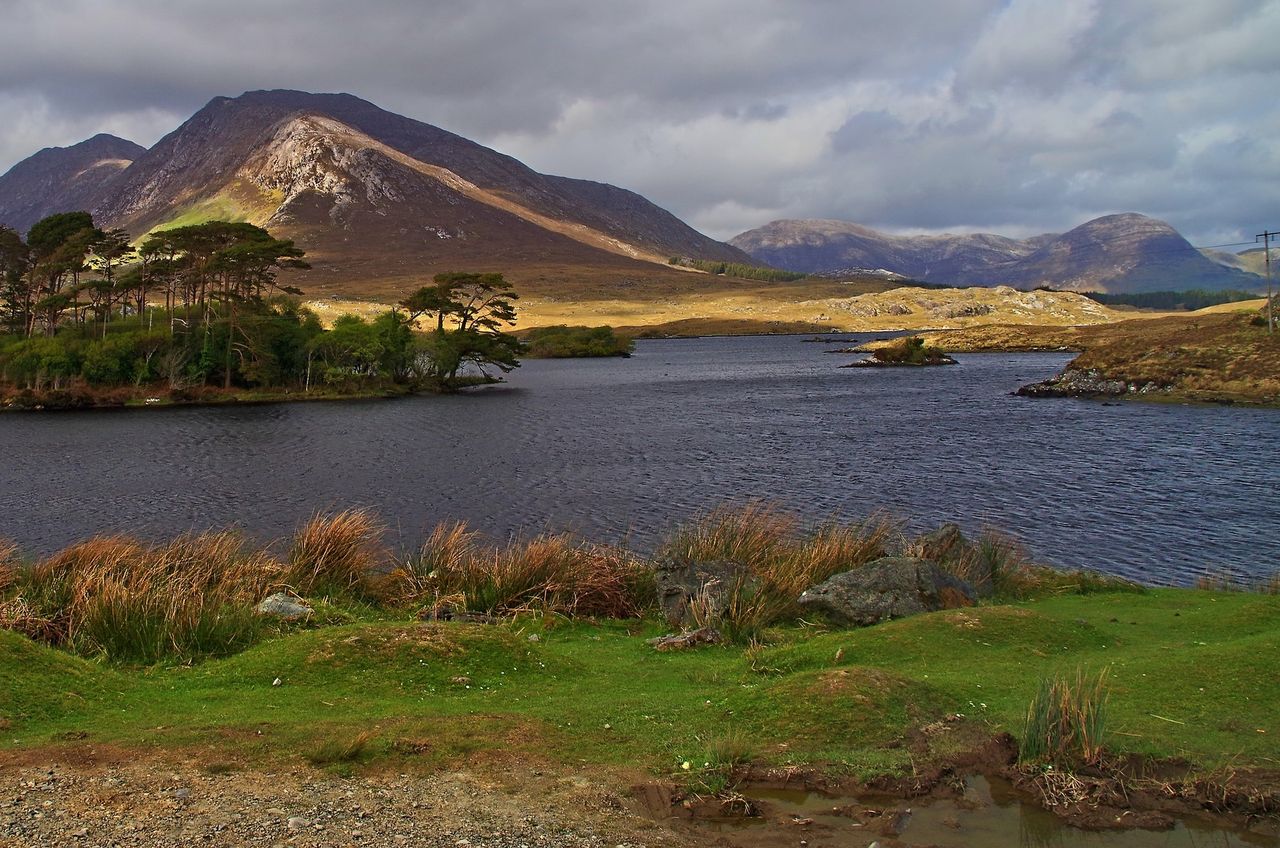 MEP to host Mayo meeting about rural decline