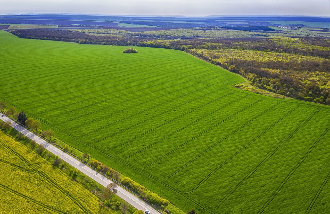 Minister anxious to get land use review published 'before Christmas'