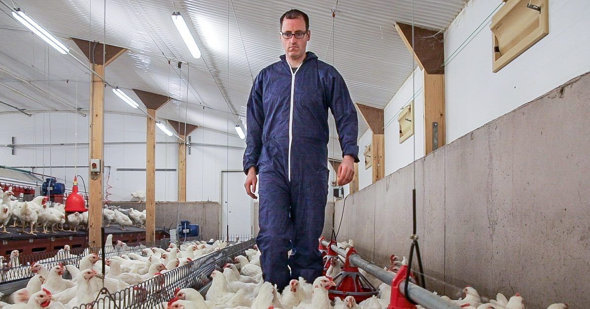 Progressive farmer focus: Generating income for two families on a 70ac Monaghan farm