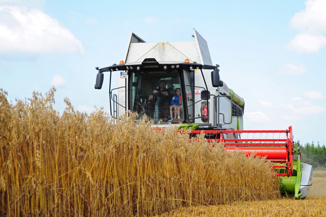 Harvesting oats with Claas and Valtra